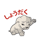 犬が言うこと！（個別スタンプ：1）