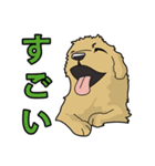 犬が言うこと！（個別スタンプ：2）