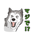 犬が言うこと！（個別スタンプ：8）