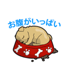 犬が言うこと！（個別スタンプ：11）