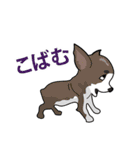 犬が言うこと！（個別スタンプ：12）