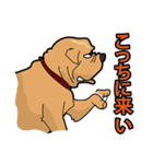 犬が言うこと！（個別スタンプ：14）