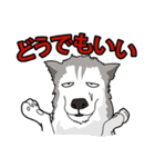 犬が言うこと！（個別スタンプ：19）