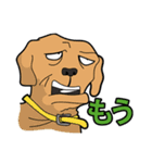 犬が言うこと！（個別スタンプ：27）