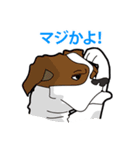 犬が言うこと！（個別スタンプ：34）