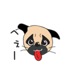 ゆるいパグ（個別スタンプ：3）
