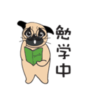ゆるいパグ（個別スタンプ：11）