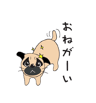 ゆるいパグ（個別スタンプ：12）