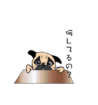 ゆるいパグ（個別スタンプ：16）