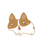 Kinoko love Corgi（個別スタンプ：10）