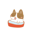 Kinoko love Corgi（個別スタンプ：15）