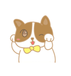 Kinoko love Corgi（個別スタンプ：36）