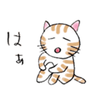 猫スタ（個別スタンプ：9）