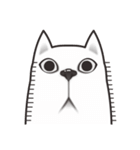 CHER CAT（個別スタンプ：17）