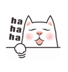 CHER CAT（個別スタンプ：26）