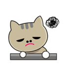 ねこくんファミリー（個別スタンプ：37）