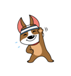 いかした犬  - ミーウォーク、ミーフィード（個別スタンプ：13）