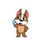 いかした犬  - ミーウォーク、ミーフィード（個別スタンプ：17）