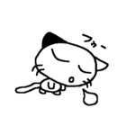 ねこねこたん（個別スタンプ：39）