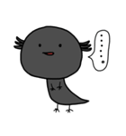 クロうぱちゃん（個別スタンプ：1）