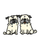 PUG2.English（個別スタンプ：2）