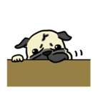 PUG2.English（個別スタンプ：11）