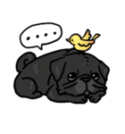 PUG2.English（個別スタンプ：34）