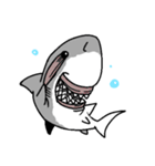 【ホホジロザメ】サメ【ホオジロザメ】2（個別スタンプ：1）