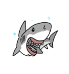 【ホホジロザメ】サメ【ホオジロザメ】2（個別スタンプ：2）