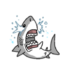 【ホホジロザメ】サメ【ホオジロザメ】2（個別スタンプ：4）