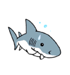 【ホホジロザメ】サメ【ホオジロザメ】2（個別スタンプ：7）