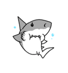 【ホホジロザメ】サメ【ホオジロザメ】2（個別スタンプ：8）