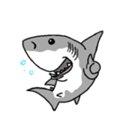 【ホホジロザメ】サメ【ホオジロザメ】2（個別スタンプ：9）