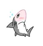 【ホホジロザメ】サメ【ホオジロザメ】2（個別スタンプ：10）