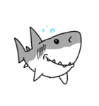 【ホホジロザメ】サメ【ホオジロザメ】2（個別スタンプ：13）