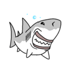 【ホホジロザメ】サメ【ホオジロザメ】2（個別スタンプ：14）