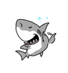 【ホホジロザメ】サメ【ホオジロザメ】2（個別スタンプ：22）