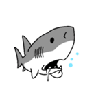 【ホホジロザメ】サメ【ホオジロザメ】2（個別スタンプ：35）