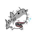 【ホホジロザメ】サメ【ホオジロザメ】2（個別スタンプ：38）
