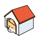 ティッシュ柴犬（個別スタンプ：23）