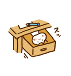 ねこ、あらわる（個別スタンプ：12）