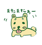 柴犬ぽち（個別スタンプ：7）