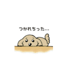 かわいい動物スタンプ（個別スタンプ：22）