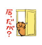 もじゃ犬と猫のゆるーい庄内弁スタンプ（個別スタンプ：1）