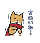 とうふくんといぬくん（個別スタンプ：23）