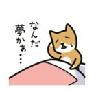 とうふくんといぬくん（個別スタンプ：33）