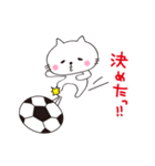 サッカーぬこ（個別スタンプ：1）