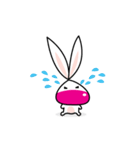 Kanompang Rabbit（個別スタンプ：24）