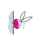 Kanompang Rabbit（個別スタンプ：33）
