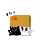 捨て猫～シロとクロ～（個別スタンプ：9）